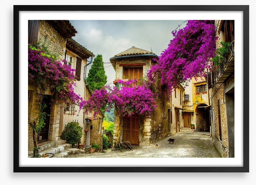 Summer in Provence