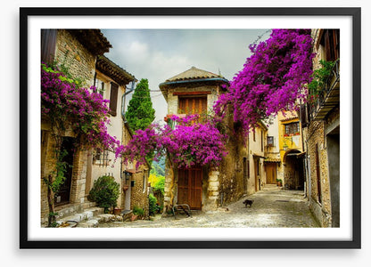 Summer in Provence