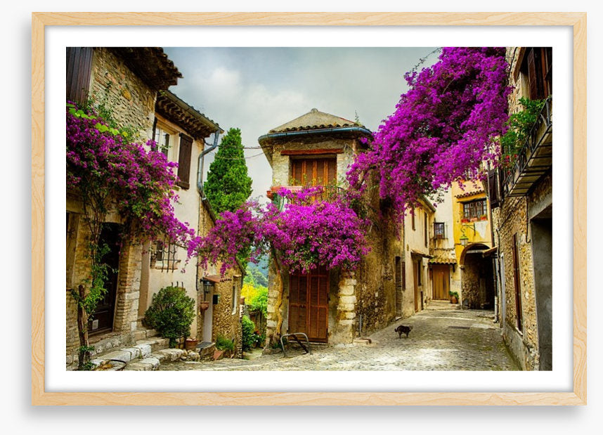 Summer in Provence