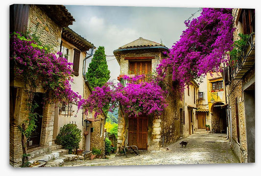 Summer in Provence