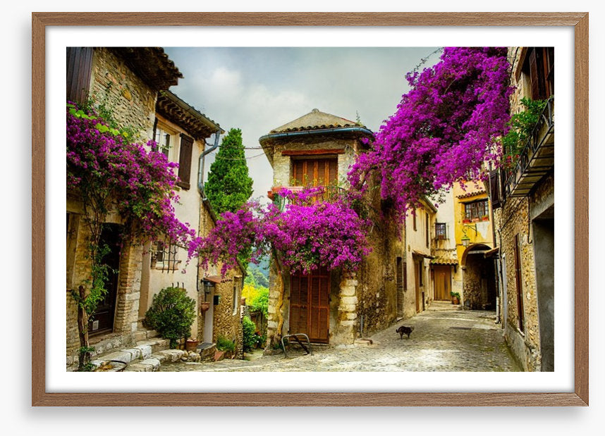 Summer in Provence