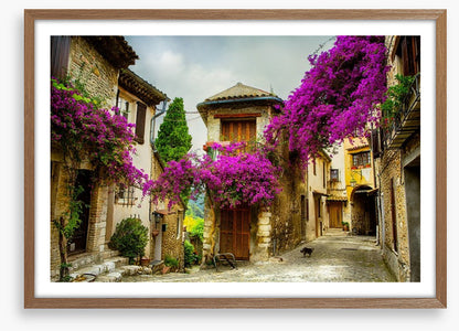 Summer in Provence