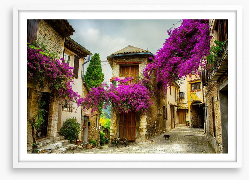 Summer in Provence