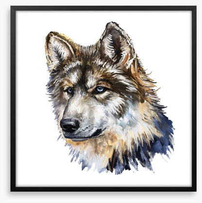 Wild wolf