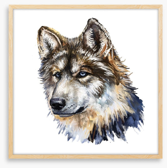 Wild wolf