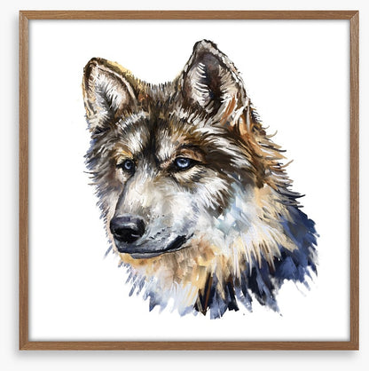 Wild wolf