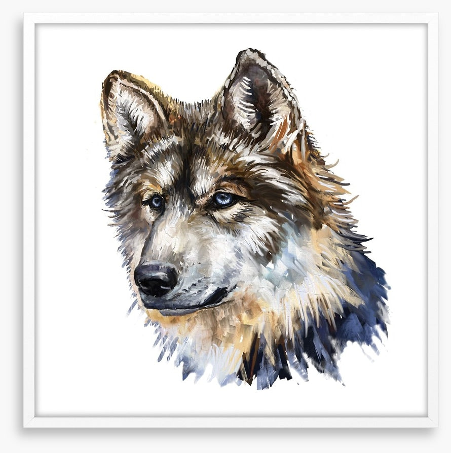 Wild wolf