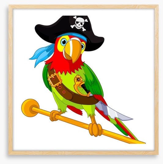 Pirates