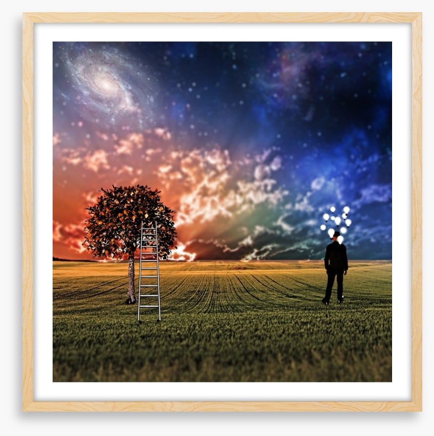 Sky dreamer