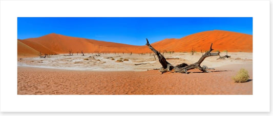 Desert