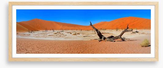 Desert