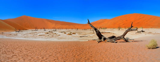 Desert