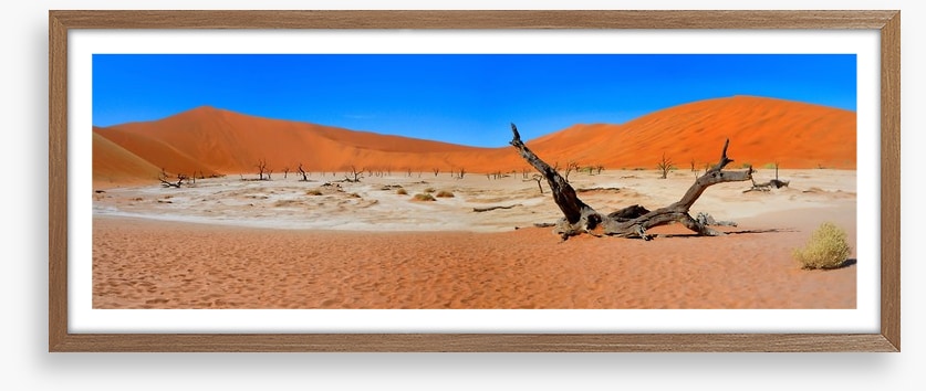 Desert