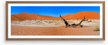 Desert