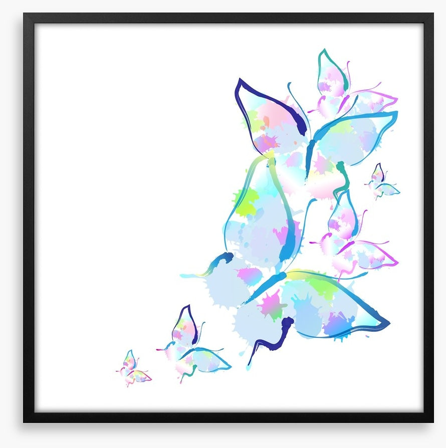 Butterfly splashes