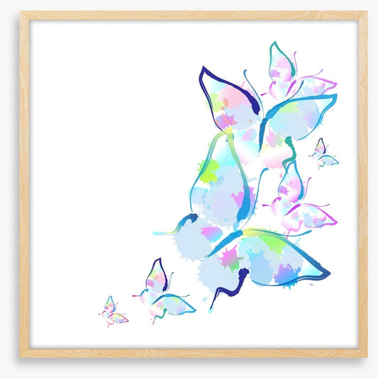 Butterfly splashes