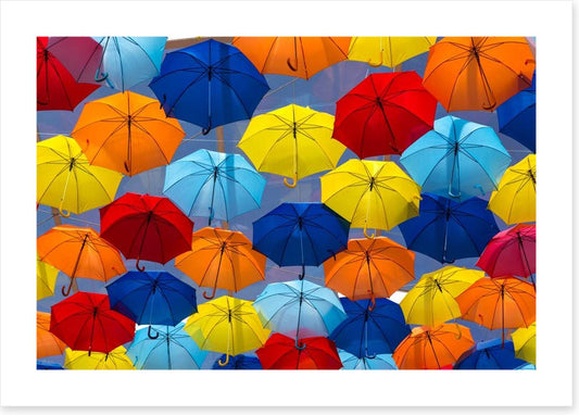 The festival of umbrellas