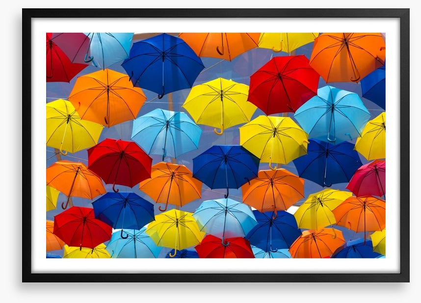The festival of umbrellas