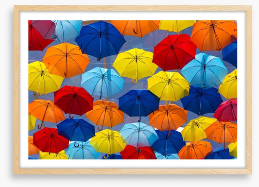 The festival of umbrellas