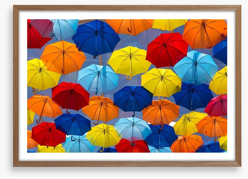 The festival of umbrellas