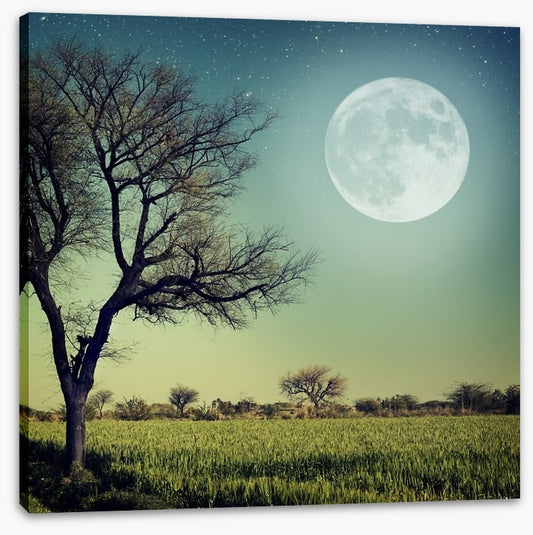 Moon glow