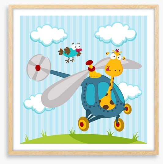 Helicopter giraffe