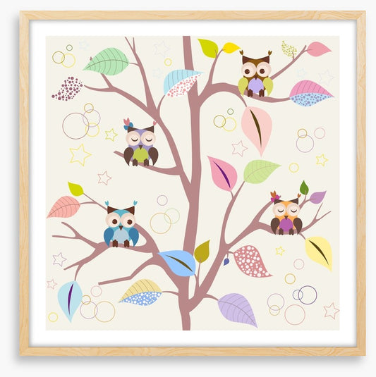 Baby owl tree