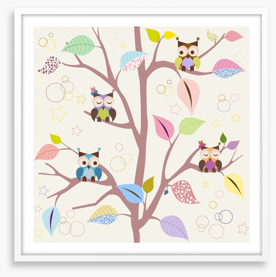 Baby owl tree