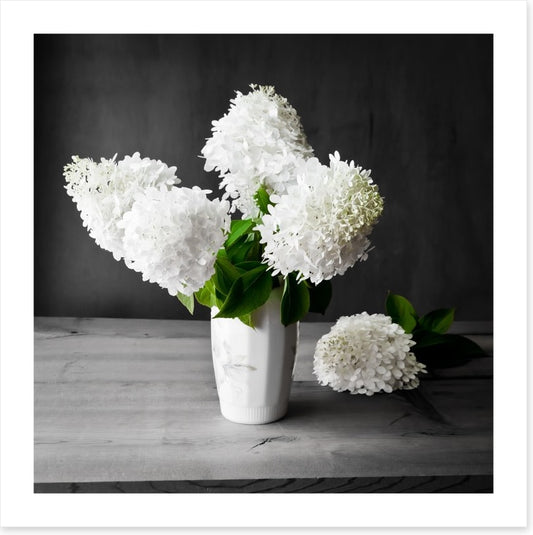 White hydrangea vase