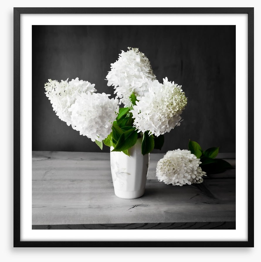 White hydrangea vase