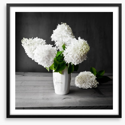 White hydrangea vase