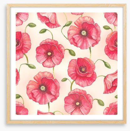 Poppy flowers