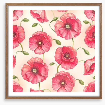 Poppy flowers