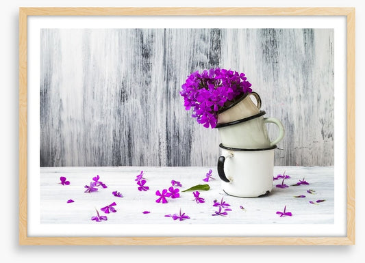Still Life