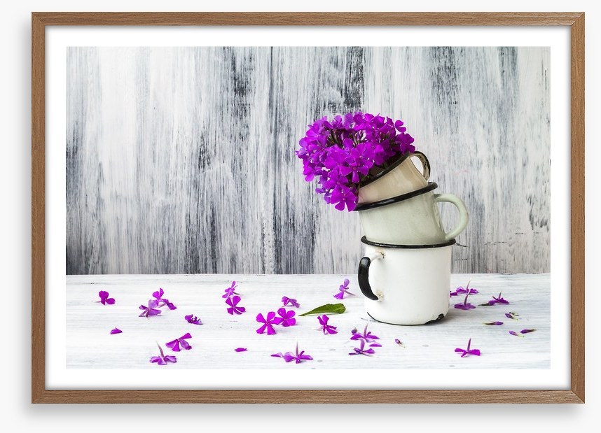 Still Life