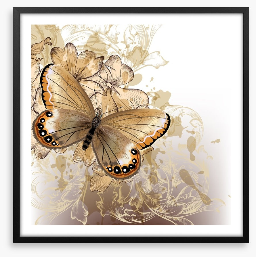 Butterfly beauty