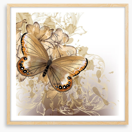 Butterfly beauty