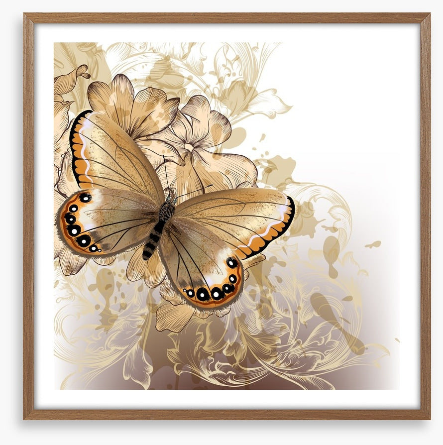 Butterfly beauty