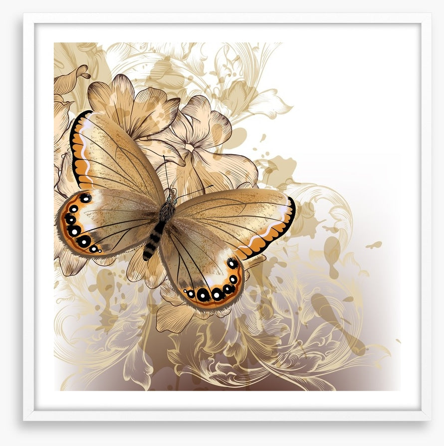 Butterfly beauty