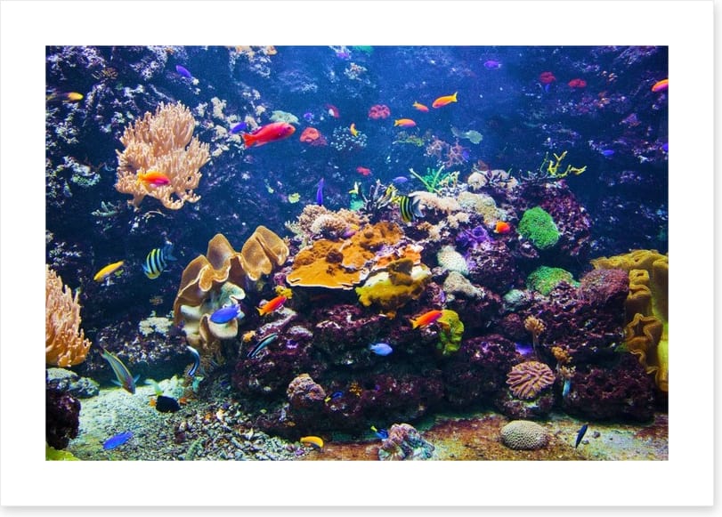 Underwater
