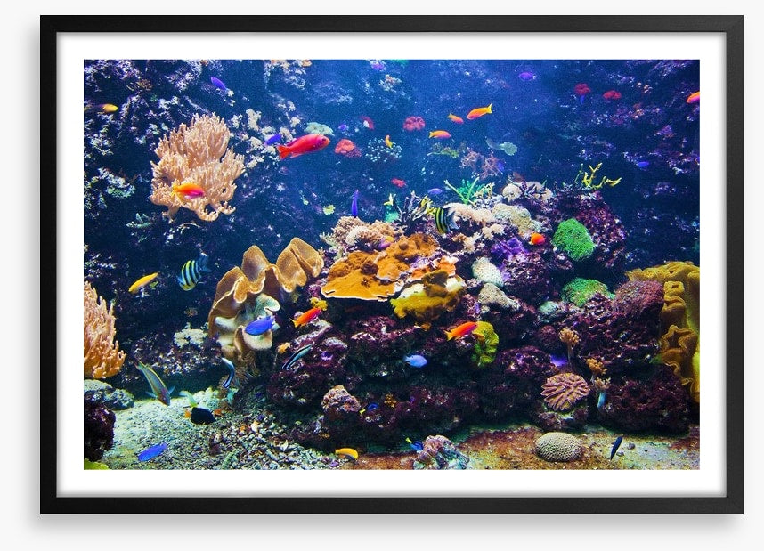 Underwater
