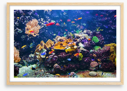 Underwater