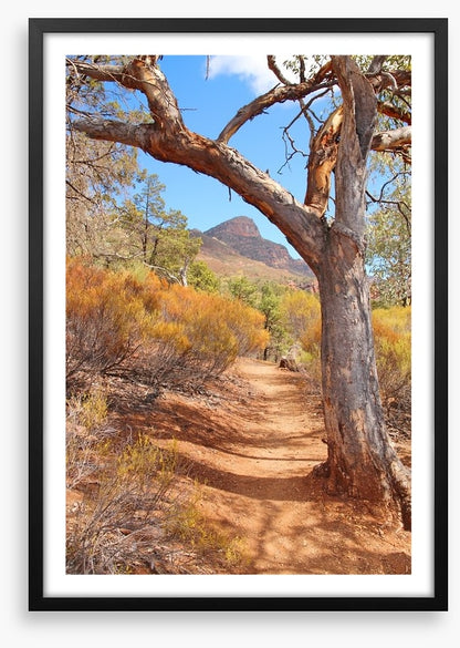 Path to the Flinders Ranges