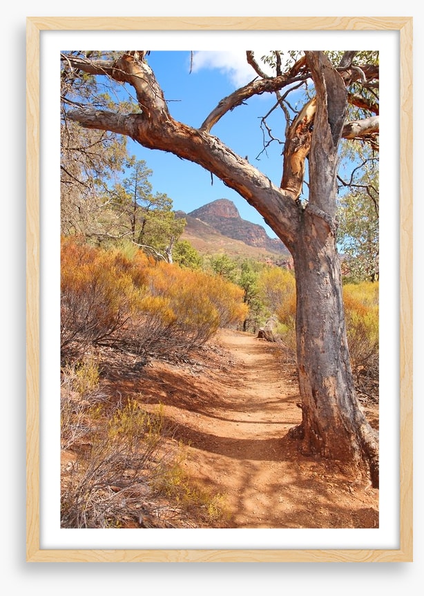 Path to the Flinders Ranges