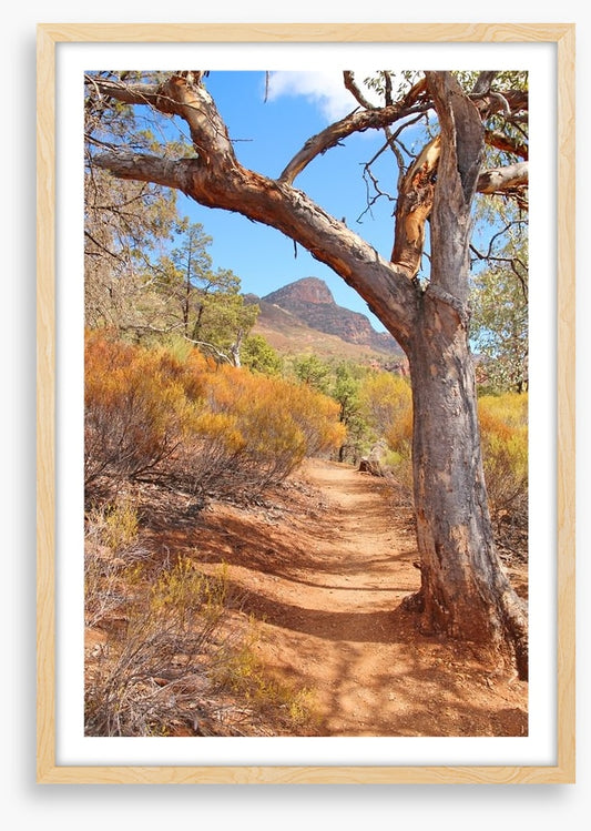 Path to the Flinders Ranges