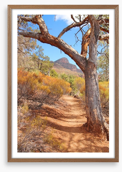 Path to the Flinders Ranges