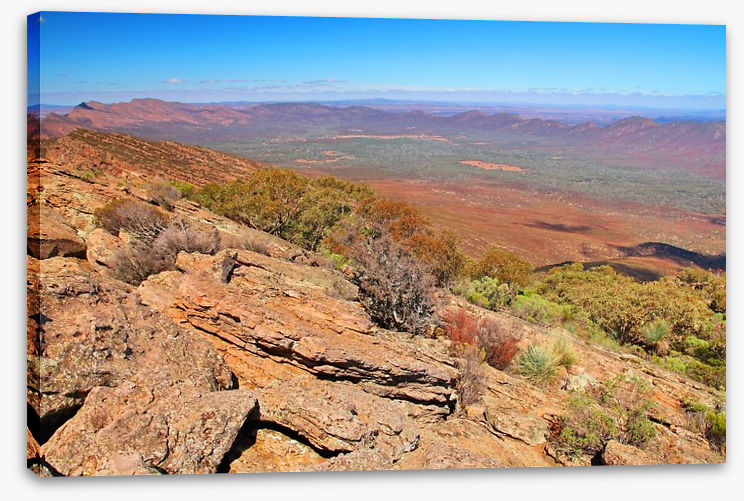 The Flinders Ranges