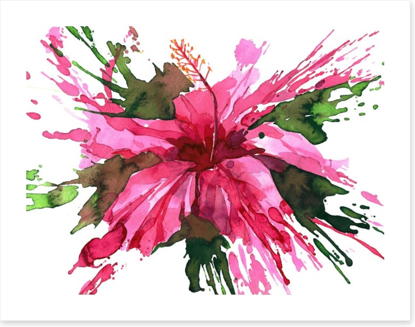 Hibiscus flower splash