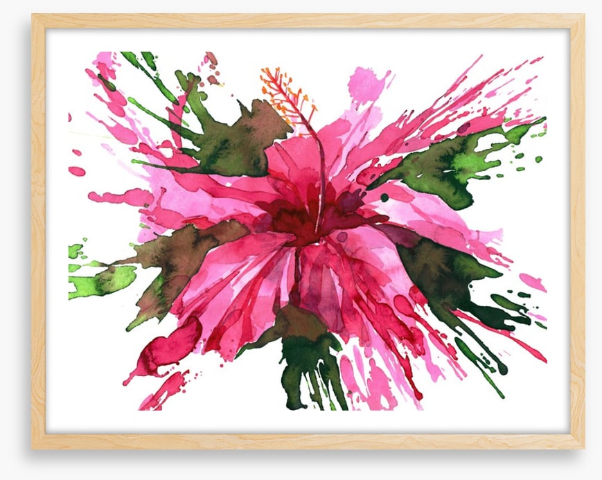 Hibiscus flower splash