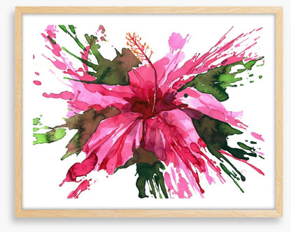 Hibiscus flower splash